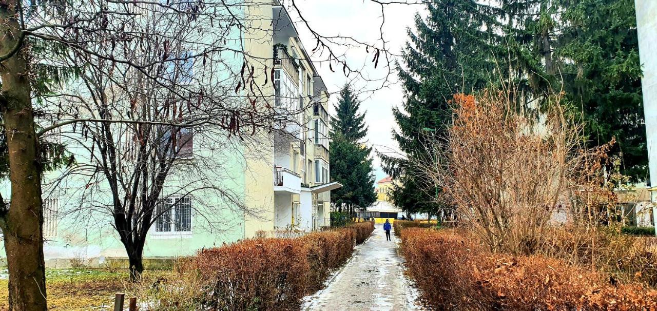 5 Min To Everything-Stylish-Modern-Old City Center Braşov Extérieur photo